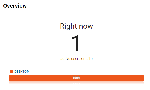 Google Analytics showing one live visitor on the site