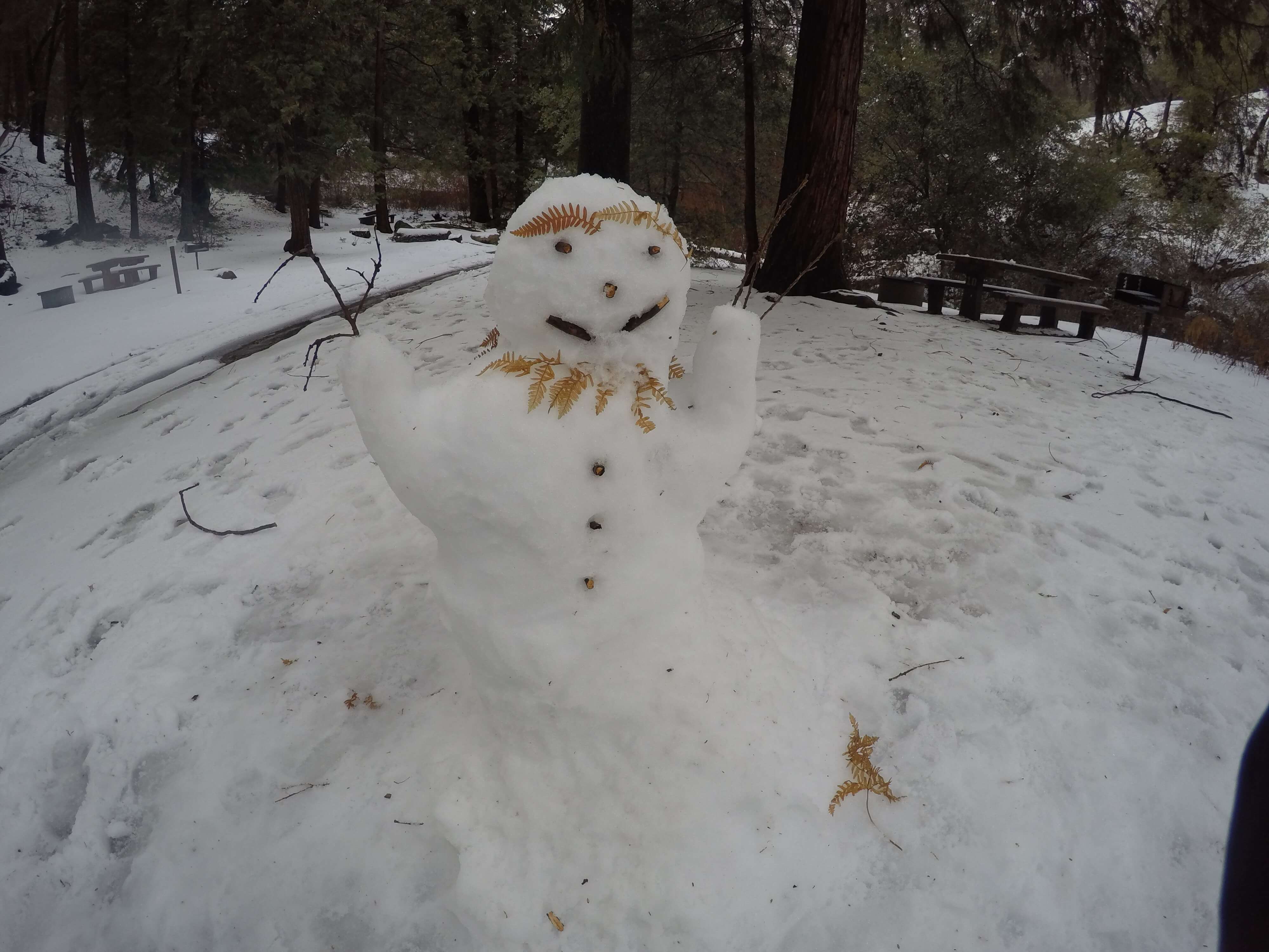 Snowman in Fry Creek Campground Palomar Mountain, CA